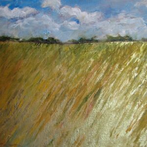 Meadow Grasses