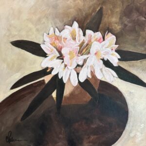 Rhododendron at Rest